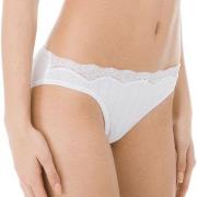 Calida Trosor Etude Toujours Low Cut Brief Vit bomull Medium Dam