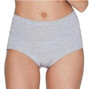 JBS of Denmark Trosor Bamboo Maxi Brief Ljusgrå Large Dam