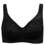 Damella BH Classic Soft Lace Bra Svart A 75 Dam