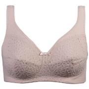 Damella BH Classic Soft Lace Bra Puder D 85 Dam