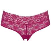 Triumph Trosor Lace Hipster 15 Rosa polyamid Large Dam