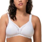 Triumph BH Modern Lace Cotton Soft Bra Vit D 90 Dam