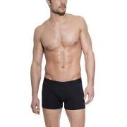 Bread and Boxers Boxer Brief Kalsonger Svart ekologisk bomull Large He...