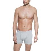 Bread and Boxers Boxer Brief Kalsonger Grå ekologisk bomull X-Small He...