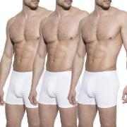 Bread and Boxers Boxer Briefs Kalsonger 3P Vit ekologisk bomull Large ...