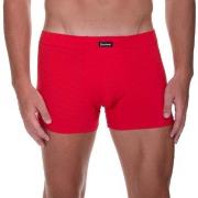 Bruno Banani Kalsonger Check Line 2.0 Shorts Röd polyamid XX-Large Her...