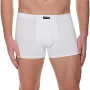 Bruno Banani Kalsonger Check Line 2.0 Shorts Vit polyamid X-Large Herr