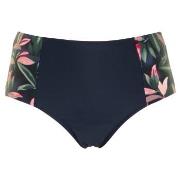 Missya Milano Bikini Maxi Brief Blå/Rosa 38 Dam