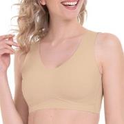 Anita BH Essentials Bralette Sand Large Dam