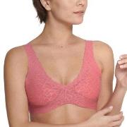 Sloggi BH ZERO Feel Lace 2.0 Bralette Rosa Small Dam