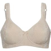 Swegmark BH Adamo Padded Soft Wired Bra Beige C 80 Dam