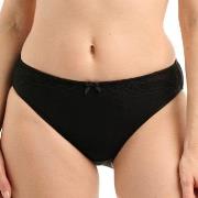 Sans Complexe Trosor Ava Brief Svart bomull Large Dam