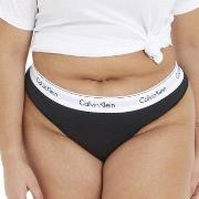 Calvin Klein Trosor Modern Cotton Plus Thong Svart 4XL Dam