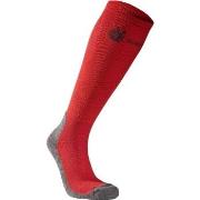 Seger Strumpor Alpine Compression Sock Röd Strl 37/39