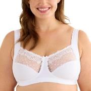 Swegmark BH Delight Soft Bra Vit polyamid C 90 Dam