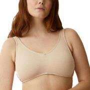 NATURANA BH Classics Cotton Soft Bra Beige bomull C 80 Dam