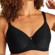 Swegmark BH Adamo Shape Padded Cup Wire Bra Svart polyamid B 90 Dam