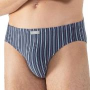 Mey Kalsonger Varied Stripe Jazz Briefs Flerfärgad bomull XX-Large Her...