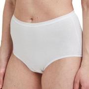 Decoy Trosor 5P Maxi Briefs Vit ekologisk bomull Medium Dam