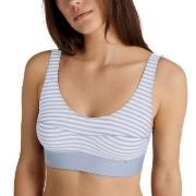 Calida BH Elastic Top Vit/Blå bomull X-Small Dam