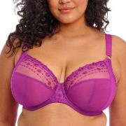 Elomi BH Matilda Underwired Plunge Bra Fuchsia/Lila L 80 Dam