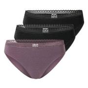 Schiesser Trosor 3P Modern Lace Rio Briefs Lila/Svart bomull 46 Dam