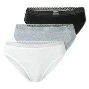 Schiesser Trosor 3P Modern Lace Rio Briefs Flerfärgad bomull 36 Dam