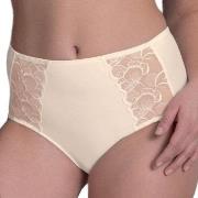 Anita Trosor Lucia High Waist Briefs Plus Benvit 36 Dam