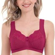 Anita BH Orely Support Bra Cherry nylon F 95 Dam