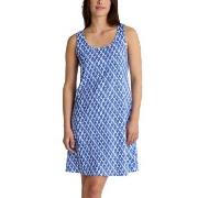 Calida Shell Nights Nightdress Blå/Vit bomull Medium Dam