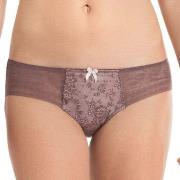 Rosa Faia Trosor Fleur Brief Berry 34 Dam
