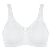 NATURANA BH Molded Cotton Soft Bra Vit bomull C 75 Dam