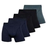 Claudio Kalsonger 5P Trunks Flerfärgad-2 Medium Herr