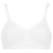Damella BH Carla Soft Bra Vit polyester B 85 Dam