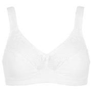 Damella BH Felice Soft Bra Vit bomull B 85 Dam