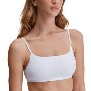 Calida BH Sleek Skin Bustier Vit X-Small Dam