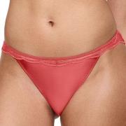 Triumph Trosor Crazy Stupid Love Highleg Tai Röd 42 Dam