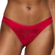 Triumph Trosor Palina Moonlight Kiss Brazilian Brief Röd polyamid 46 D...
