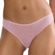 Triumph Trosor Signature Sheer Tai Brief Gammelrosa 38 Dam