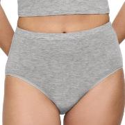 Triumph Trosor Beauty Layers Wool Maxi Brief Grå ull Large Dam