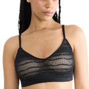 Sloggi BH FREE Evolve Lace Push-Up Bra Svart Sloggi 01 Dam