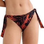 Triumph Summer Palm Tai Bikini Bottom Flerfärgad 44 Dam