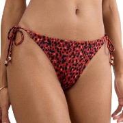 Triumph Midnight Swim Brazilian Bikini Bottom Röd/svart 44 Dam