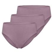 Schiesser Trosor 3P Essentials Cotton Briefs Viol bomull 38 Dam
