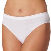 Schiesser Trosor Pure Rib Organic Cotton Rio Briefs Vit 40 Dam