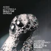 Redken Acidic Color Gloss Discovery Set, Heat Protection Hair Treatmen...