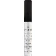 Avant Skincare Anti-Ageing Collagen Lip Line Corrector 8,5 ml