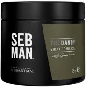 Sebastian Professional Seb Man The Dandy Light Hold Pomade 75 ml