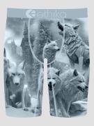 Ethika Primal Familie Boxershorts blue