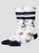 Stance Kool Katz Surf Crew Socks canvas